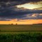 prairie farm end of summer