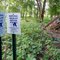 Ruins of East Henderson, Tyrone (Henderson), MN - August 19th, 2011