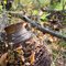Fencing Spooled on an Old Milk Can - Faxon, MN - October 8th, 2011