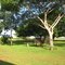 Fazenda Bandeirantes