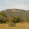 Cerrado