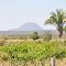 Montanha de Caucário, Currupira