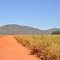 Fazendas no Mato Grosso, Serra das Araras