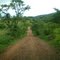 Descendo a Serra