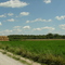 Rural Road