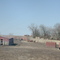 Pig Farm