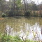 Wallace State Park - Tiny Pond