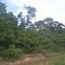 Cadastro de Compromisso Socioambiental - Fazenda Dona Jandira - Cadastrada desde 2010