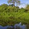 Floresta Amazonica-AP