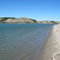 Downstream Campground near Pick City