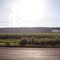 Usina LDC-SEV - Unidade Rio Brilhante - Vista da BR-163