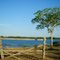 Paisagem