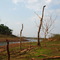 Serra da Mesa (muito baixa)