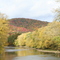 The River in the Fall