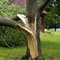 Palmyra, NE: After The Storm  2008