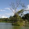 Nativos Pesca Esportiva