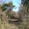 Salem River Wildlife Management Area