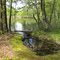 Forest Habitat Trail Pond view Southwestward