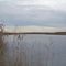 Salem River