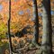 Rocky River In Fall