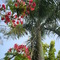 Natureza bela 2