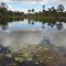 Lago artificial na Fazenda dos Irmãos Tolotti (Miro e Kade). Vale da Serra, Nova Xavantina/MT.