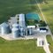 Schroeders Grain Farm
