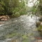 Rio do Sangue - se dividindo entre ilhas na corredeira do Roncador