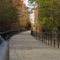 Bike Path Through Ada