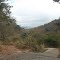 Campanário-MG(Morro do mamão)