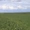 Cadastro de Compromisso Socioambiental - Fazenda Adriana - Cadastrada desde 2010