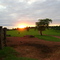 Fazenda Novo Horizonte - Vale Rico-MT