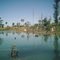 lago da fazenda