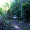Estrada de Mata