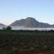 Vista do Morro do Tromba, rodeado de neblina, em Pirabeiraba. (Sight of Morro da Tromba, surrounded by fog, in Pirabeiraba).