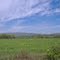 Pasture