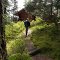 Path to cabin