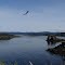 Seal Bay's best view