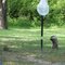 ground hog 1