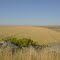 View westward along the face of Fort Peck Dam, one of the world's largest earth fill dams