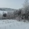 Winter Wonderland