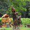 Wood Carving on old tree trunks---st