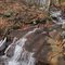 Water Tank Stream Falls (~25')