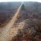 Stony Mountain Lookout Tower Trail