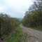 Rattling Run 1 (watch the leaves pop as the elevation changes!)