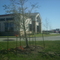 IBC bank