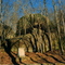 Hanging Rock