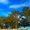 Lake Tawakoni