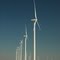 Windfarm