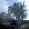 Hoar Frost